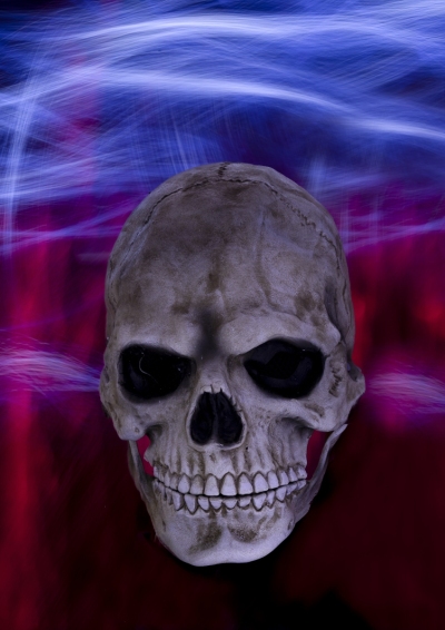 Skeleton