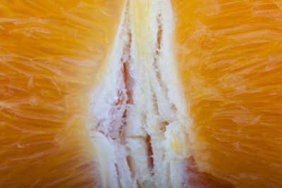 20070114-Still-Life-Orange-Kiwi-070114-003