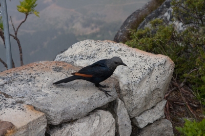 20071211-Table-Top-Mountain-071211-006