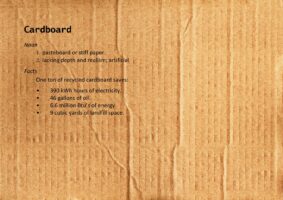 Cardboard – The Curator