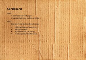 Cardboard - The Curator