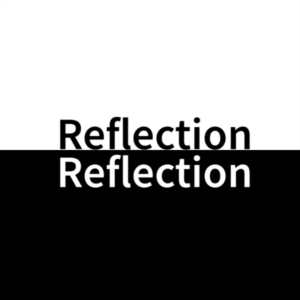 Speaking Photographically - Reflection