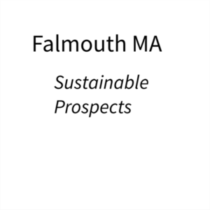 Module 4: Sustainable Prospects